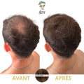 Poudre densifiante cheveux chatain homme avant apres Avey